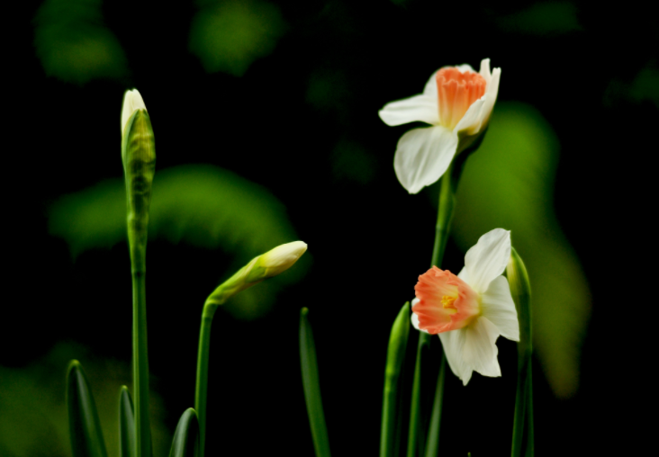 大家都做生態(tài)文明建設的實踐者、推動者（生態(tài)論苑）