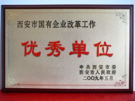 2009年5月，被西安市委、市政府評(píng)為西安市國(guó)企業(yè)改革工作優(yōu)秀單位
