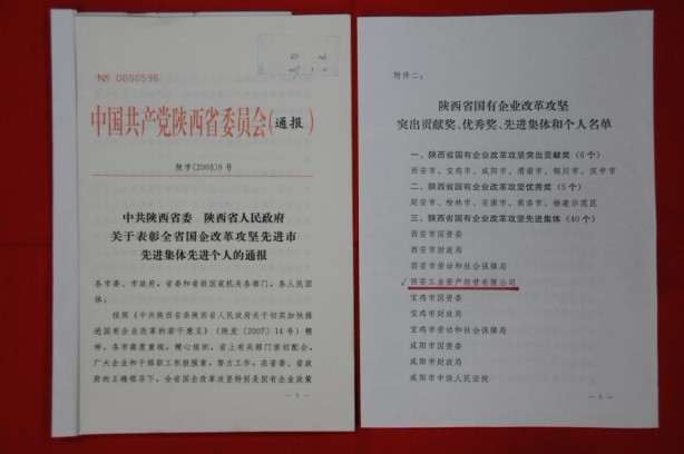 2009年2月，被陜西省委、省政府授予陜西省國(guó)有企業(yè)改革攻堅(jiān)先進(jìn)集體