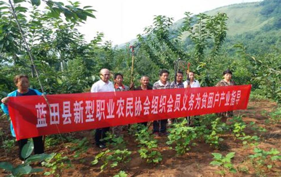 扶貧工作動(dòng)態(tài)(第四十六期)