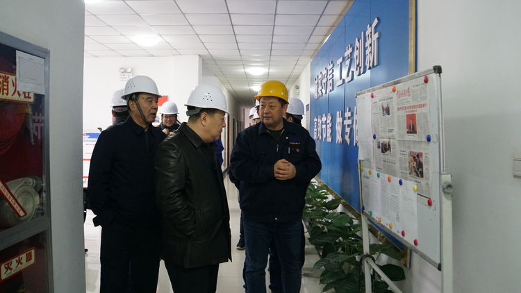 集團領(lǐng)導金輝帶隊赴標準電梯、標準熱處理進行工作調(diào)研